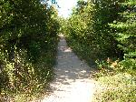 Sleeping Bear Pt Trail