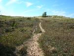 Sleeping Bear Point Trail