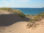 Dunes and Lake MI