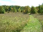 Windy Moraine Trail