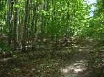 Windy Moraine Trail