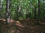 Windy Moraine Trail