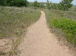 Cottonwood Trail