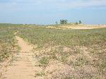 Cottonwood Trail