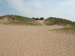 Cottonwood Trail - Perched Dunes