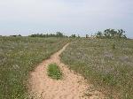 Cottonwood Trail
