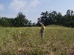 Study of Fungal Symbionts on Plant Invasion