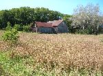 Miller Barn