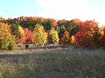 Fall Colors at Windy Moraine