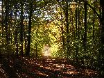 Fall Colors on Windy Moraine Trail