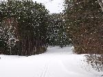 PS Drive Ski Trail Entrance