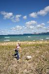 Arthropod collecting