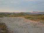 Sand Dune Restoration