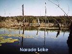 Narada Lake