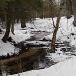 winter_creek