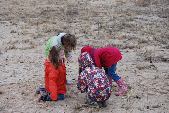Curious youngsters explore a National Lakeshore beach in order to earn their Junior Ranger badges. Photo courtesy of the National Park Service.