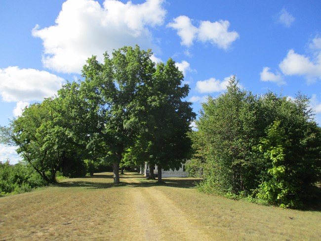 Two track trail through the lawn leads to small white cottages behind trees