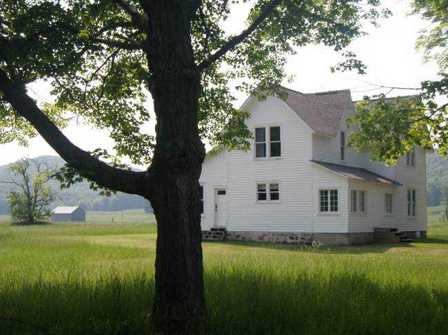 White gabled farmhouse sits in a green field with a tree silouetted in the foreground