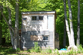 Peattie Treehouse - Lot #2 Peattie Treehouse - Lot #2