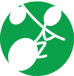 Icon for the Disabled Traveler's Companion website.