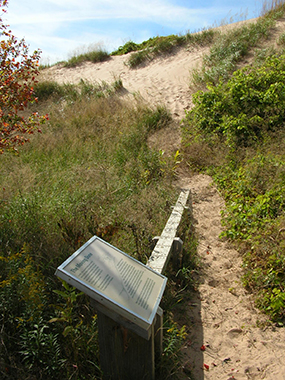 dune_exhibit
