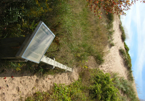 The Moving Dune Exhibit