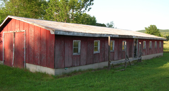 Calf Barn Designs