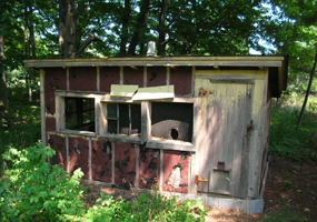 Chicken-Coop