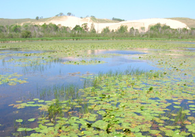 Mill Pond