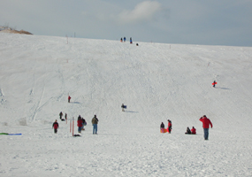 Sledding on the Dune Climb