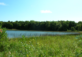 Florence Lake, South Manitou Island