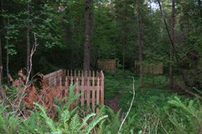 Graves near original SMI Village Graves near original SMI Village