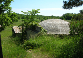 Treat Concrete Dome Garage