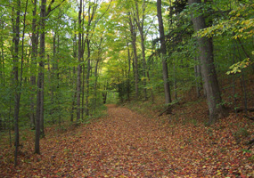 Trail to the Treat Farm