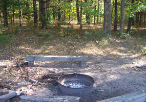 Valley View Camp Site and Fire Ring