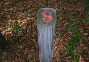 Numbered Post Numbered Post