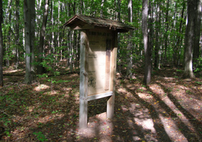 Soil Exhibit Soil Exhibit