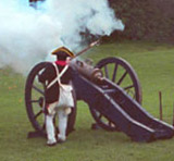 a reproduction howitzer firing