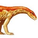 Image of Anchisaurus Polyzelus