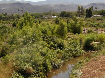 Black Canyon Community Park