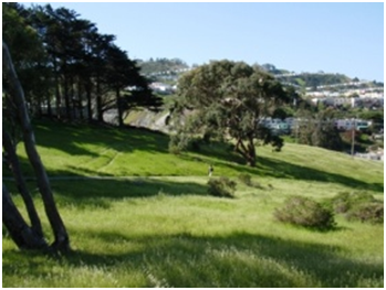 Rolling hills and meadows in San Francisco's John McLaren Park