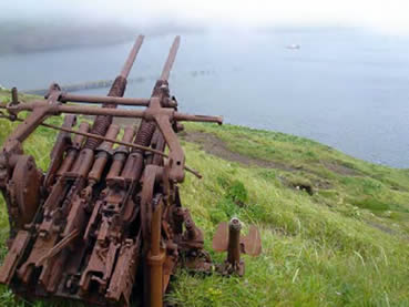A World War II-era Japanese 25 mm anti-aircraft gun at Kiska Battlefield.