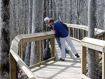 Accessible boardwalks wind through the heart of Lorance Creek Natural Area