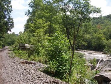The future Meadow River Rail Trail
