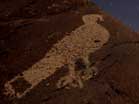 The image of a bird is chipped into a desert-varnished rock. Photo: NPS