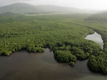 Puerto Rico preserves Laura Magruder Aereas conservation land from Naval Station Roosevelt Roads.