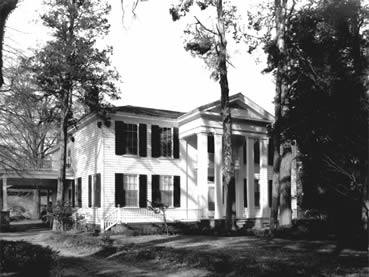 Rowan Oak 