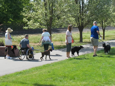 Tails get moving on the trail