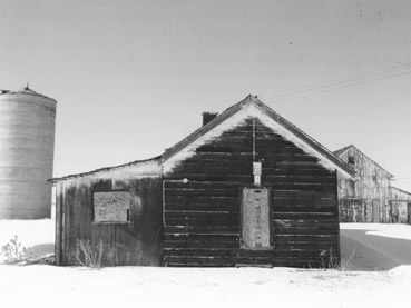Bromley Farm – Koizuma-Hishinuma Farm