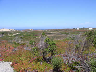 Fort Ord Dunes State Park